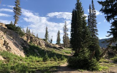 Small Daily Habits That Can Improve Your Mental Health