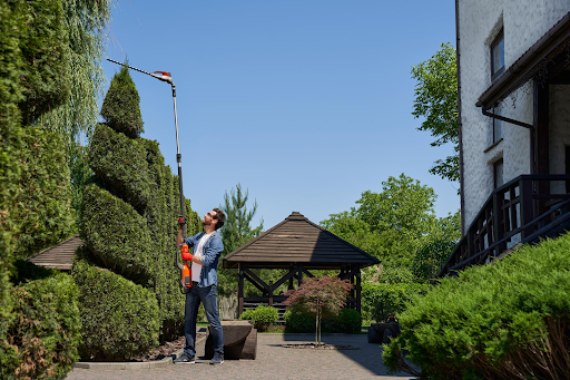 Why Hire a Landscaping Contractor for Your Property