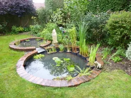Maintaining Healthy Garden Ponds in Sussex