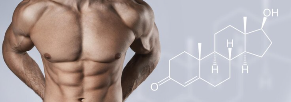 How HGH Therapy Can Enhance Your Overall Quality of Life