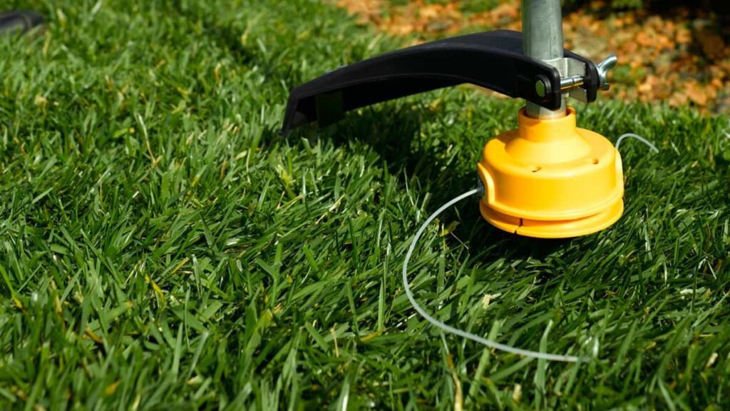 Cutting Through the Choices: A Complete Guide to Buying a Weed Eater Without the Confusion