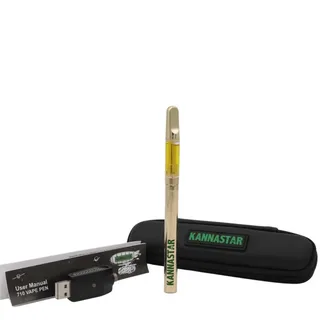 Cartridge vs Disposable THC Vape Pens Explained